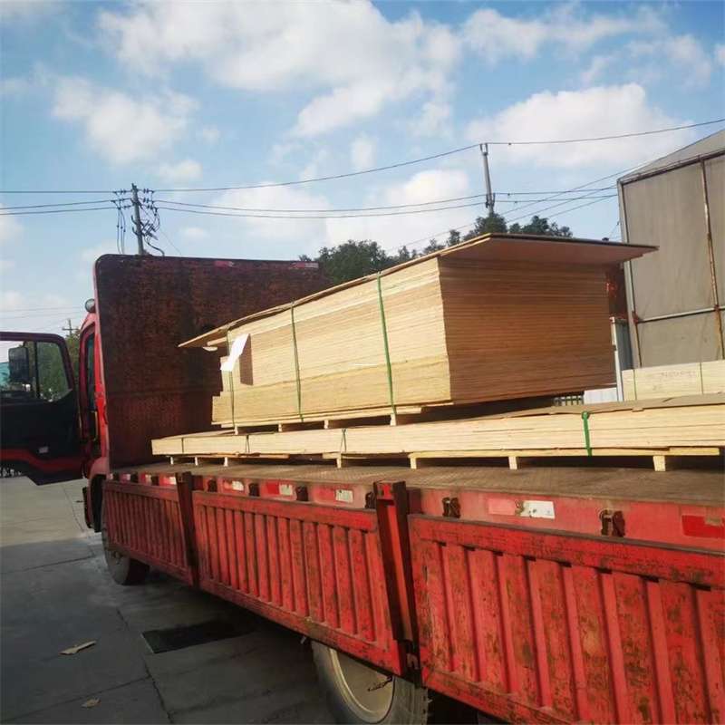 福建泉州石狮至塔城货运专线，一站式物流服务助您成功